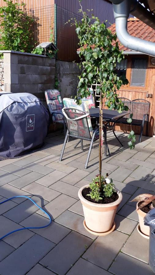 Sadov Apartman U Potoka מראה חיצוני תמונה